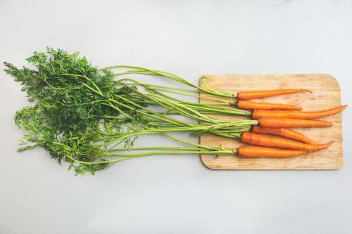 Garden Carrots Photo