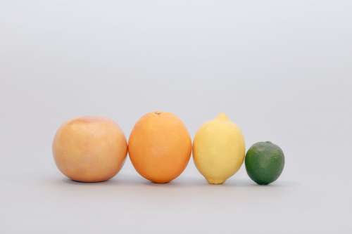 Grapefruit, Orange, Lemon, Lime Photo
