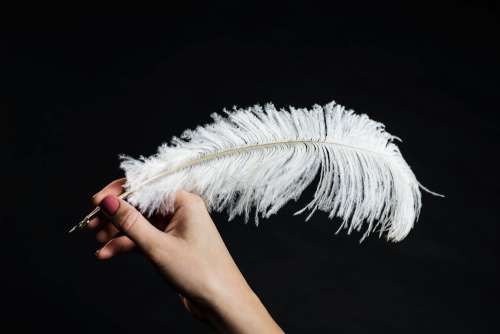 Hand Holding White Feather Quill Photo