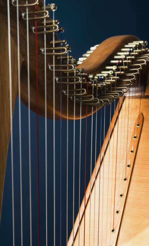 Harp Instrument Close Up Photo