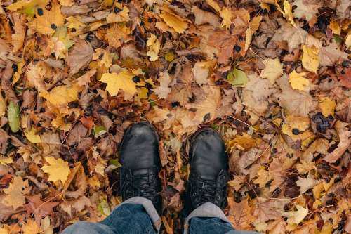 Hiker Looks Down At Boots And Leaves Photo