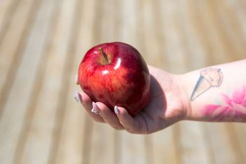 Holding An Apple Photo