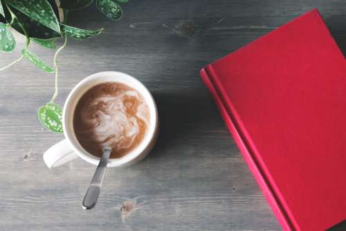Hot Chocolate And A Book Photo
