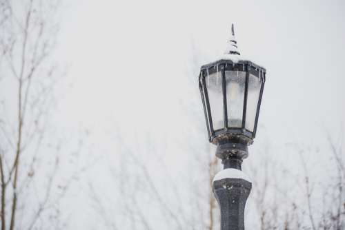 Lamppost In Winter Photo