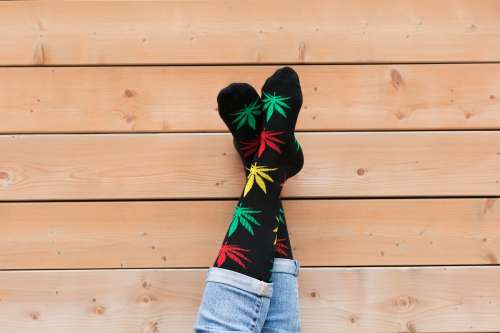 Legs Crossed Hemp Leaf Socks Photo