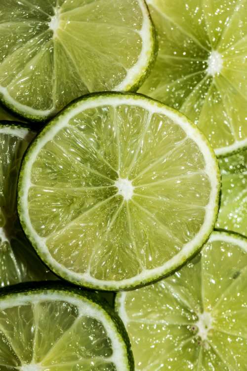 Lime Slices Photo