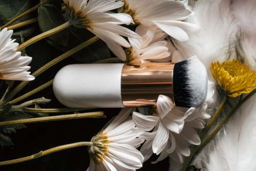 Makeup Brush In Flowers Photo