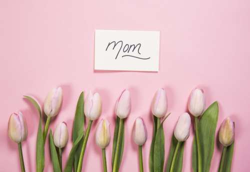 Mom Card And Pink Flowers Photo