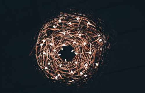 Nest With String Lights Photo