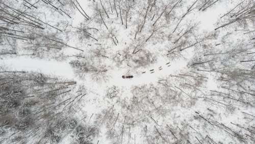 Overhead View Of A Sled Dog Team Cutting Through Winter Forest Photo