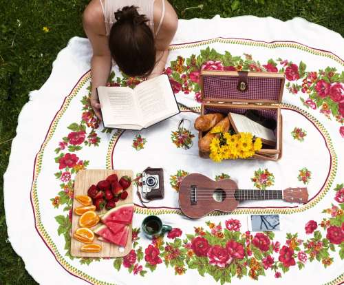 Perfect Afternoon Picnic In The Sun Photo