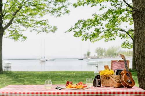 Perfect Picnic In Park By The Shore Photo