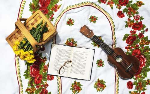 Picnic Basket Book And Ukulele Photo