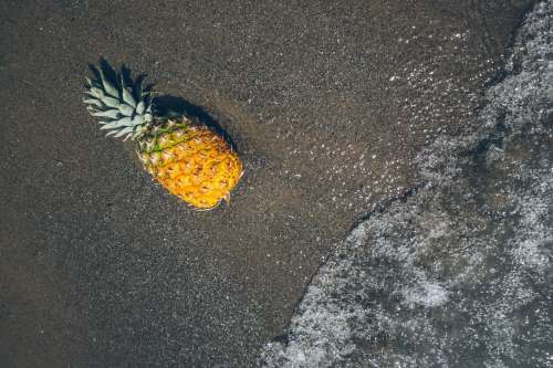 Pineapple At The Beach Photo