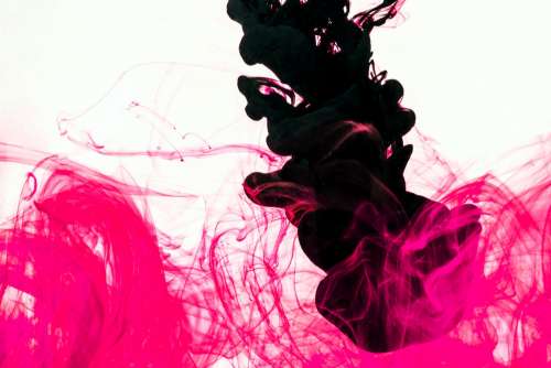 Pink And Black Ink Drop Photo