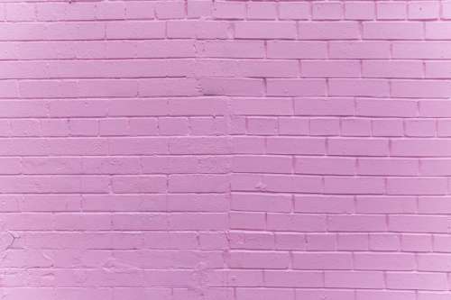 Pink Brick Wall Texture Photo