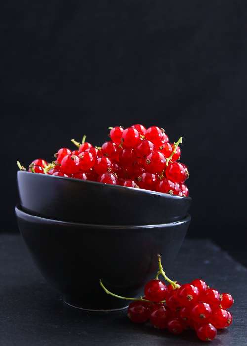 Red Currants In Bowl Photo