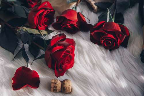 Red Roses And Champagne Cork Photo