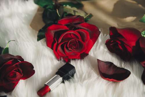 Red Roses And Lipstick Photo
