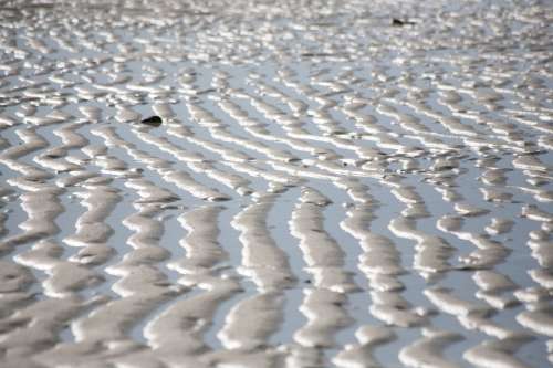 Rippled Ocean Beach Sand Photo