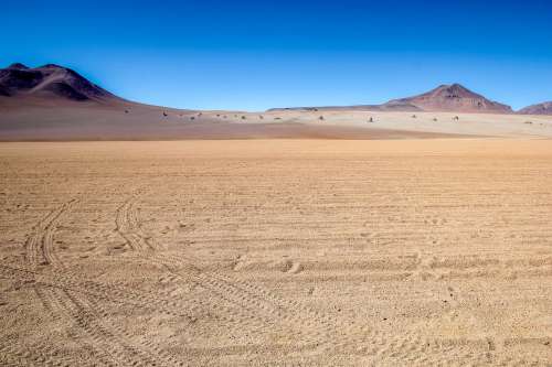 Salvador Dali Desert Photo