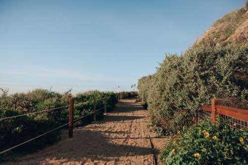 Sandy Path Leads Into A Shrub-Covered Hill Photo