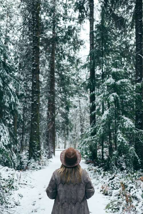 Snow-Covered Trails Of Fantasy Photo