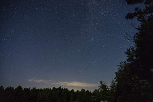 Starry Night Sky Over Forest Photo