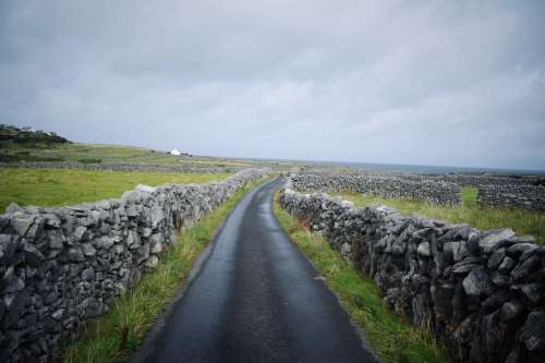 Stone Walls In Irish Fields Photo