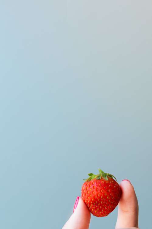 Strawberry In Hand Blue Background Photo