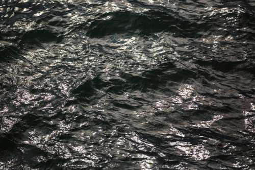 Sunlight Reflects On Water Texture Photo