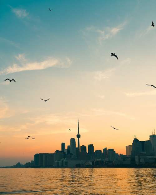 Sunrise Over The Toronto Skyline Photo