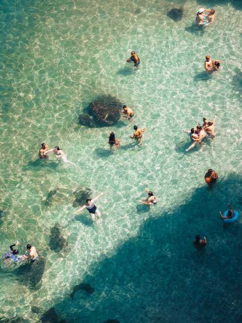 Swimmers Enjoy Crystal Water Shallows Photo
