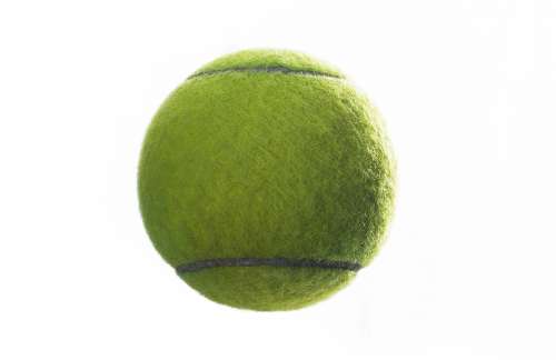 Tennis Ball Photo