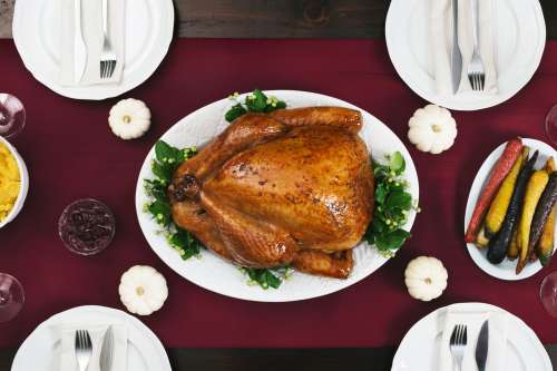 Thanksgiving Turkey Dinner Photo