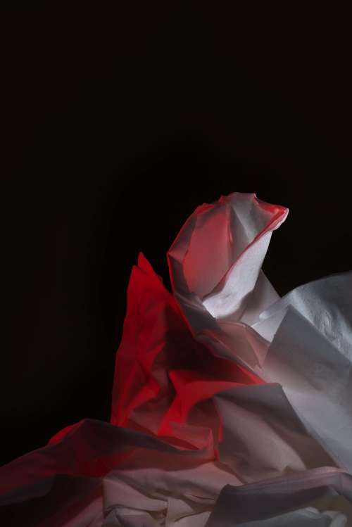 Tissue Lit With Red Photo