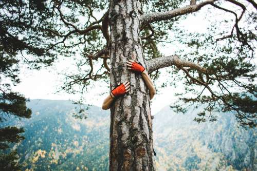 Tree Hugger Photo