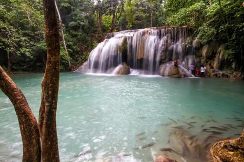 Tropical Waterfall Photo