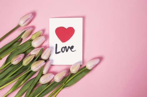 Tulip Flowers With Love Card Photo