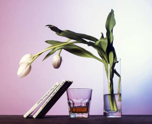 Tulips Drink And Books Photo