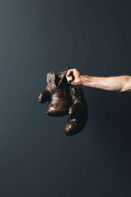 Vertical Antique Boxing GLoves Photo