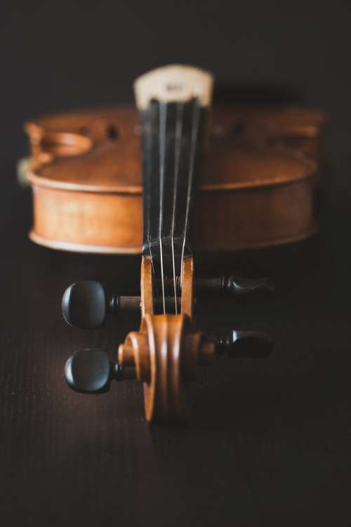 Violin Vertical Photo