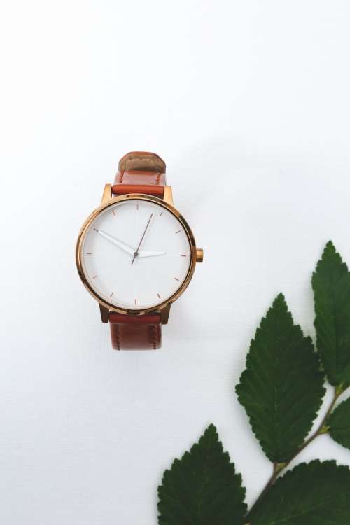 Watch With Leather Strap Near Leaves Photo