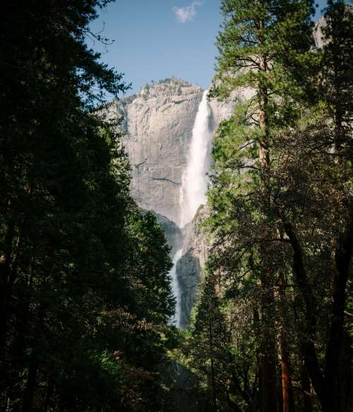 Waterfall Through Trees Photo