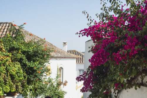 White Mediterranean Buildings Splashed With Color Photo