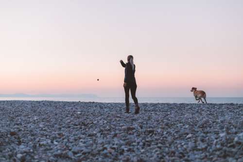 Woman And Dog Play On The Beach Photo