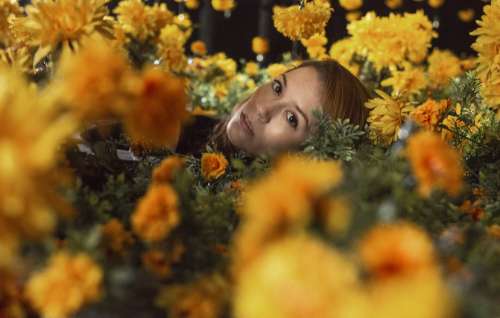 Woman Lying In Yellow Flowers Photo