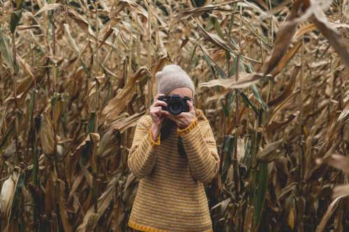 Woman Taking Pictures In Cornfield Photo