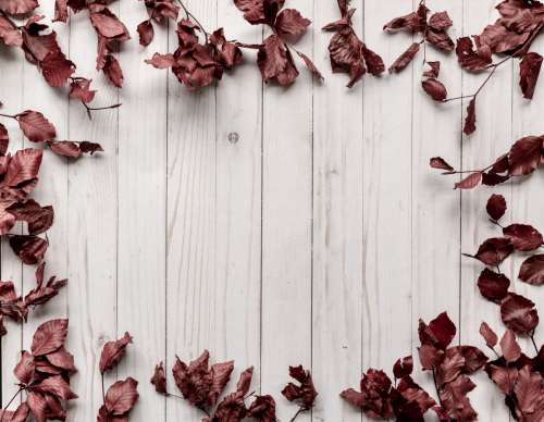 Wood Panel Background Framed By Leaves Photo