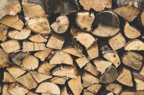Wood Pile Photo